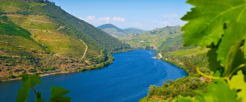 douro valley 