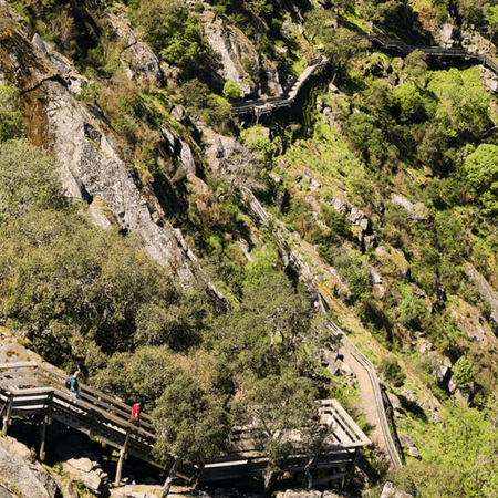 paiva-walkways-tour_9